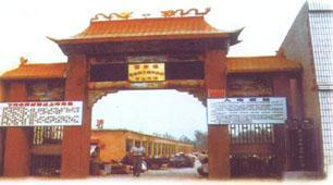鄄城舜王城中药材市场