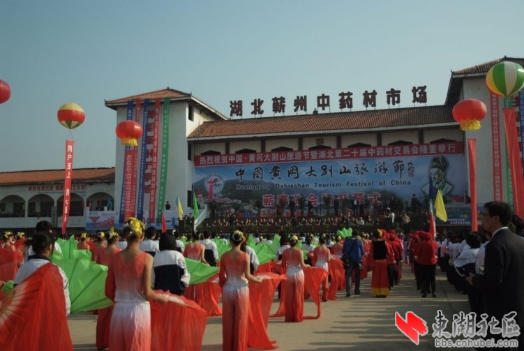 湖北省蕲州县中药材专业市场
